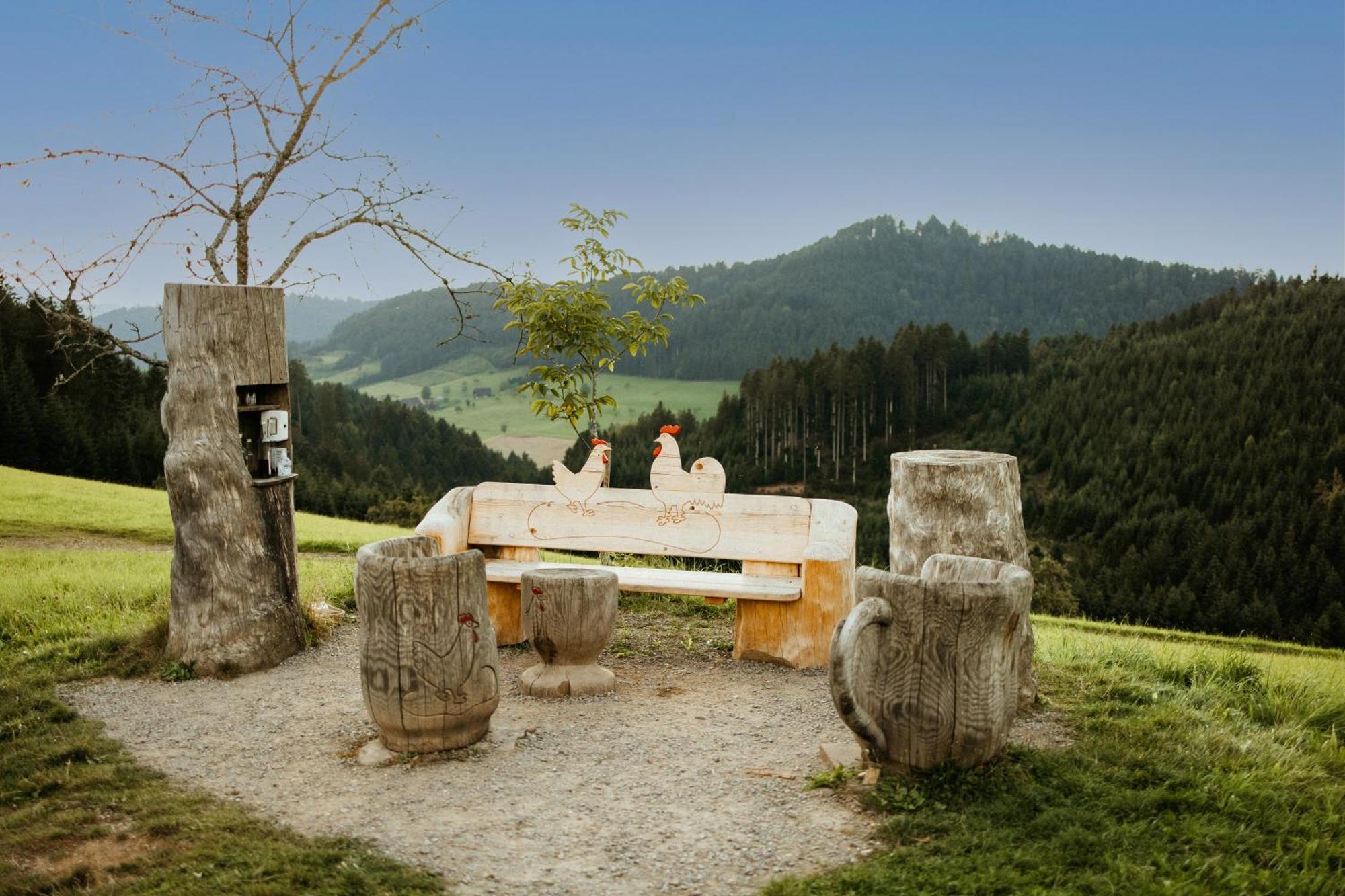 Zum Pflug 3* Zell am Harmersbach